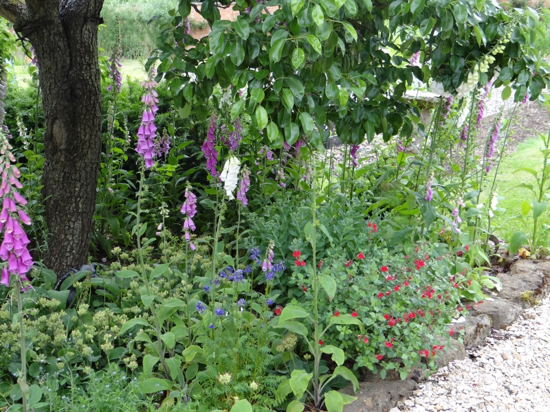 Garden Cottage & Walled Kitchen Garden